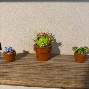 Decorative Cactus Figurine Set - Green and Brown